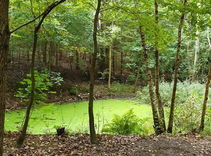 Daire Ihre Auszeit Am Golfplatz *